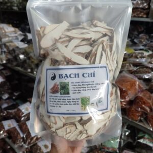 Công Dụng Của Bạch Chỉ Và Cách Dùng