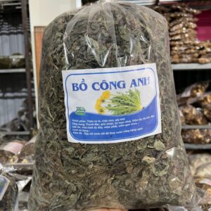 Công Dụng Bồ Công Anh Và Cách Dùng
