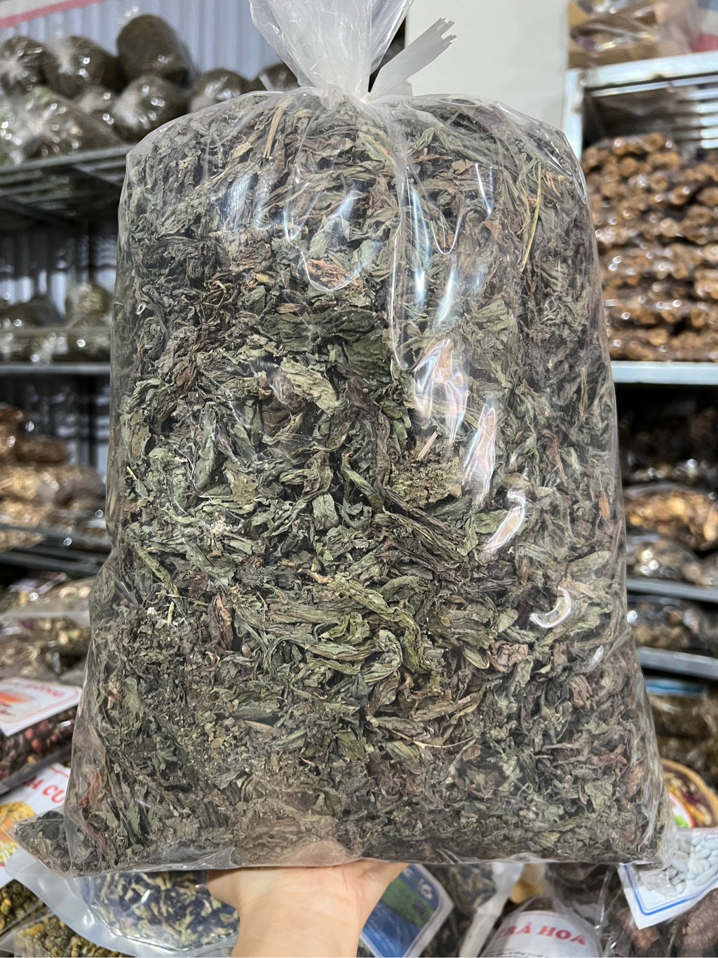 Bồ công anh1