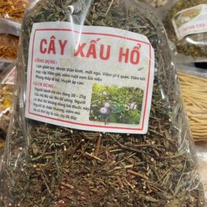Công Dụng Cây Xấu Hổ Và Cách Sử Dụng