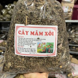 Công Dụng Của Cây Mâm Xôi Và Cách Dùng