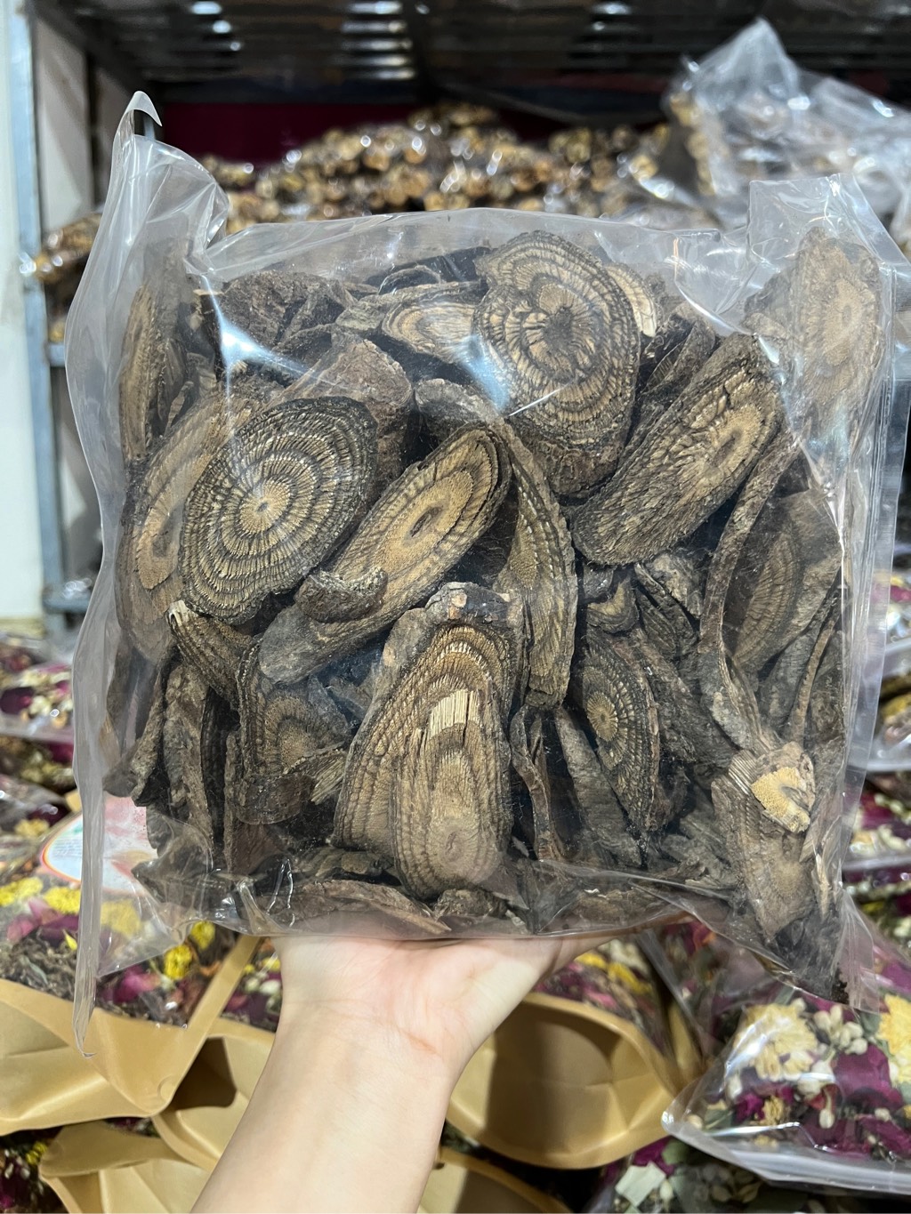 Dây Gắm 1