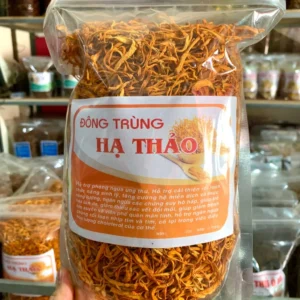Đông Trùng Hạ Thảo Công Dụng Và Cách Dùng