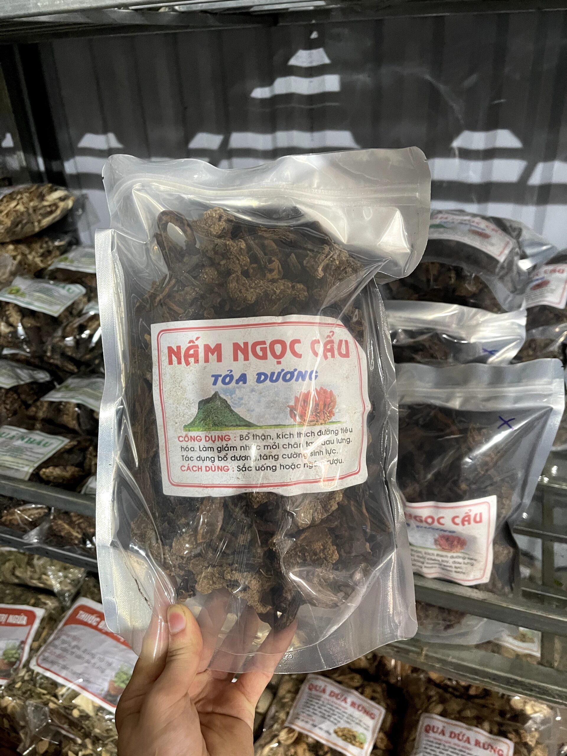 NẤM NGỌC CẨU