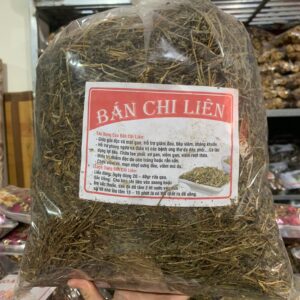 Công Dụng Của Bán Chi Liên Và Cách Dùng