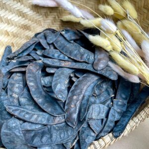 Công Dụng Bồ Kết khô Và Cách Dùng