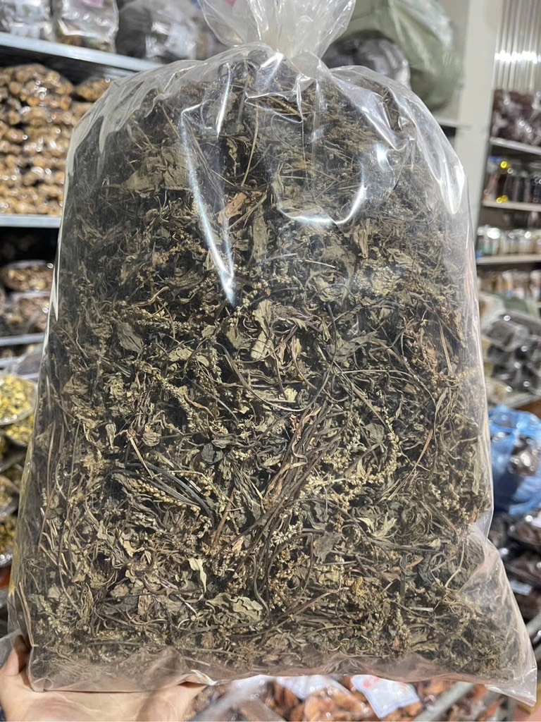 bông mã đề 1