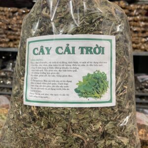 Công Dụng Cây Cải Trời Và Cách Dùng