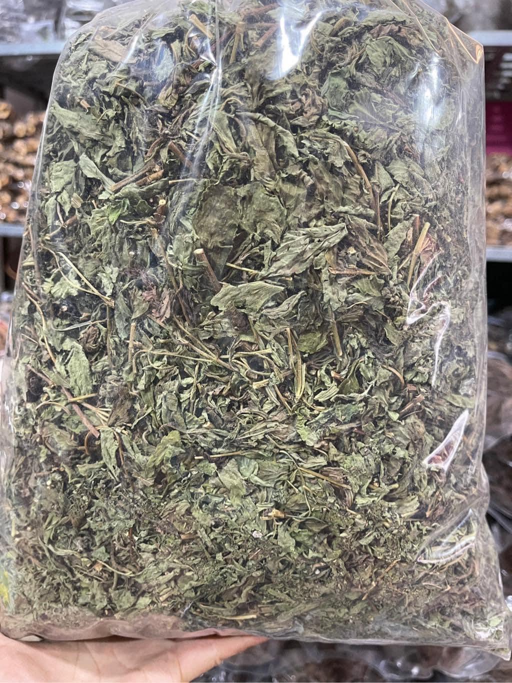 cây cỏ ngọt 1
