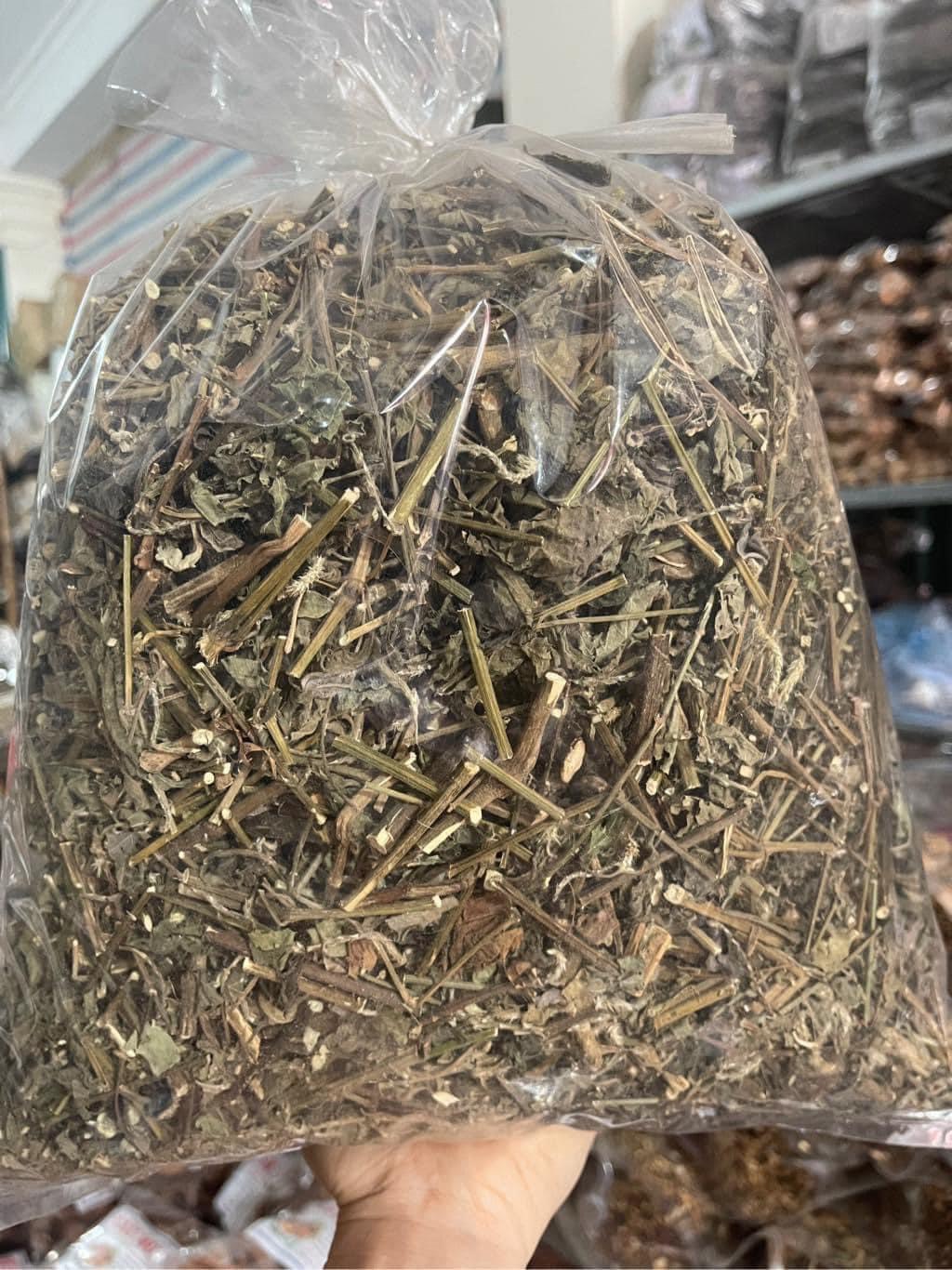 cây cỏ xước 1