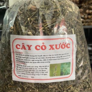 Công Dụng Cây Cỏ Xước Và Cách Dùng