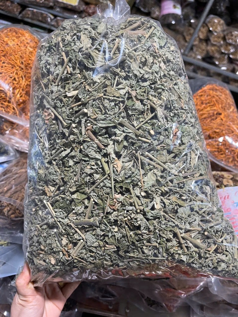 cây cối xay 1
