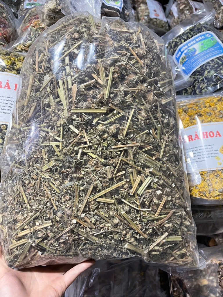 cây ích mẫu 1