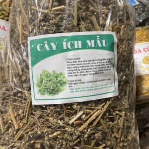Công Dụng Của Cây Ích Mẫu Và Cách Dùng