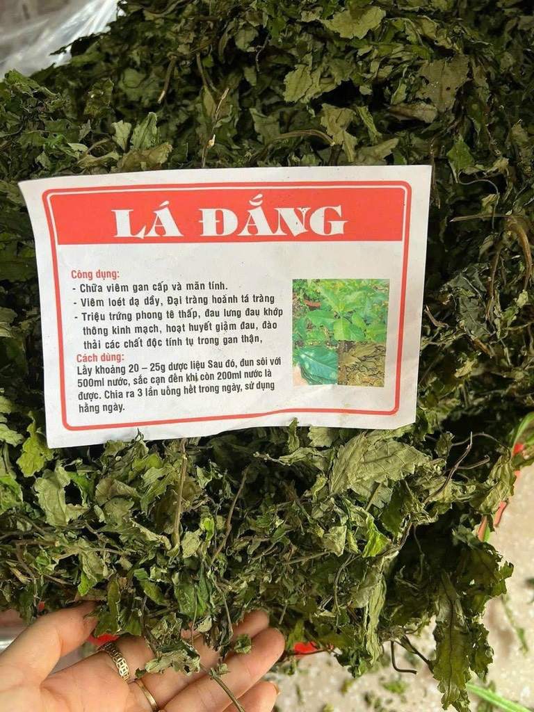 cây lá đắng 2