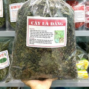 Công Dụng Của Cây Lá Đắng - Lá Cơm Kìa