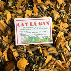 Công Dụng Cây Lá Gan Và Cách Dùng