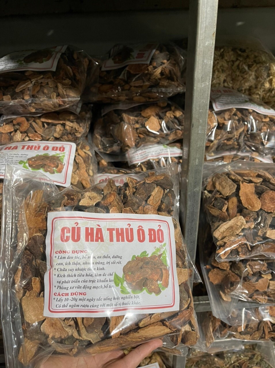 củ hà thủ ô