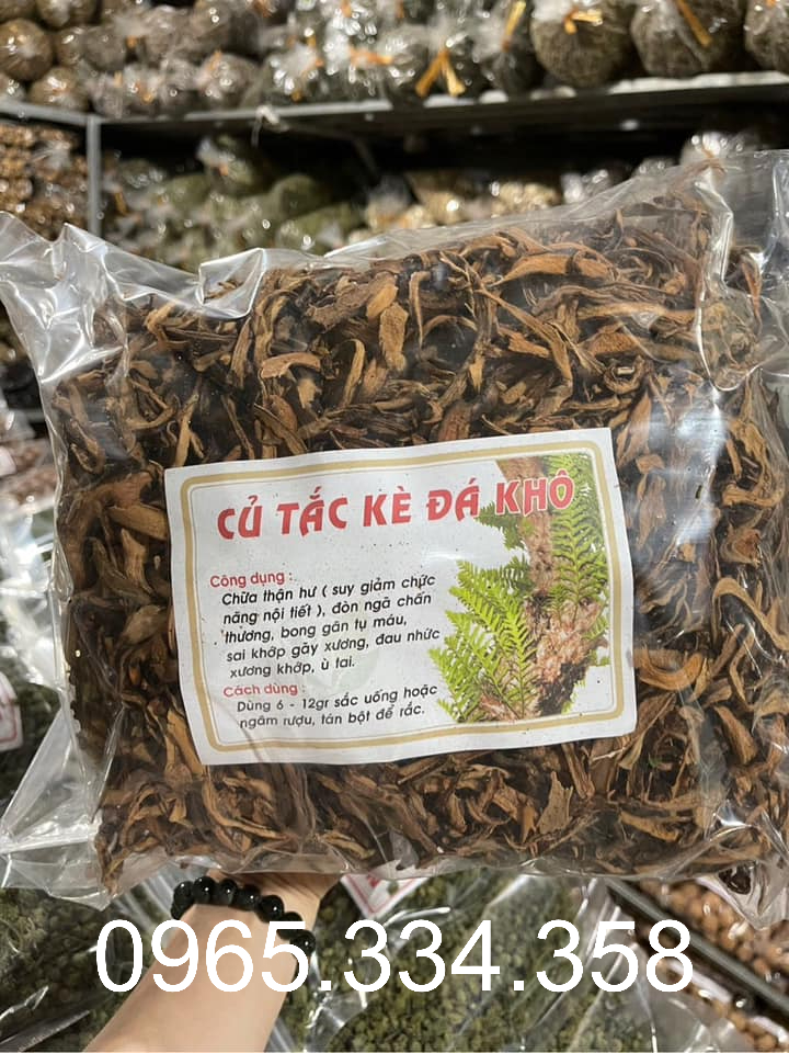 củ tắc kè đá