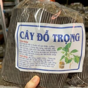 Công Dụng Của Cây Đỗ Trọng Và Cách Dùng
