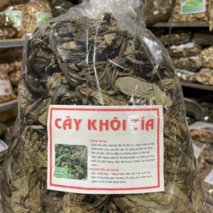 Công Dụng Cây Khôi Nhung Tía Và Cách Dùng