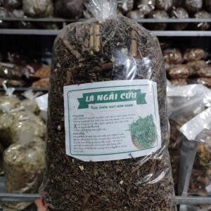 Công Dụng Của Cây Ngải Cứu Và Cách Dùng