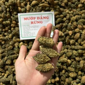 Công Dụng Mướp Đắng Rừng Và Cách Dùng
