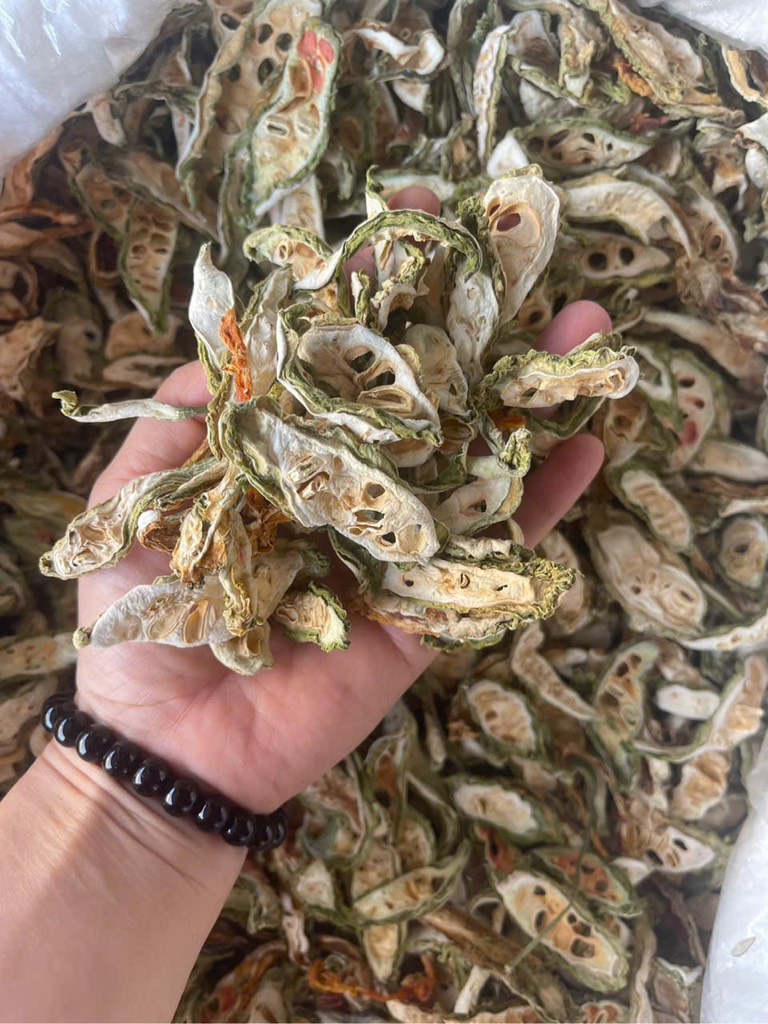 mướp đắng rừng thái lát 1