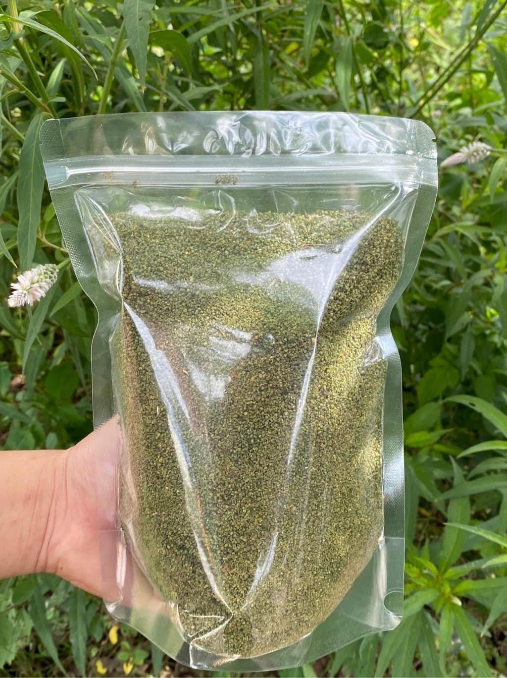 nụ tấm hoa tam thất 1