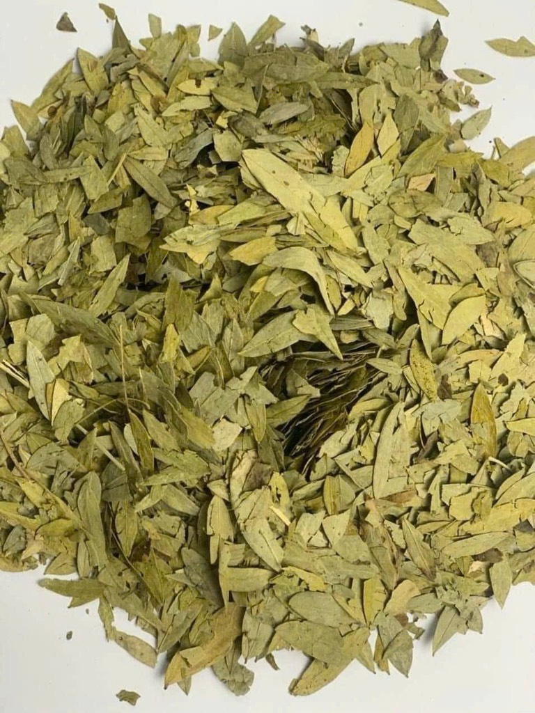 phân tả diệp 1