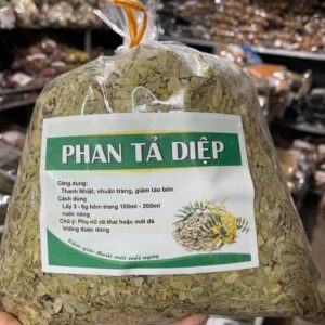 Công Dụng Phan Tả Diệp Và Cách Dùng