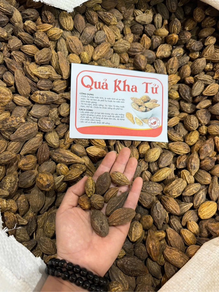 quả kha tử 1