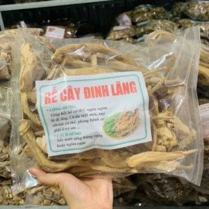 Công Dụng Của Rễ Đinh Lăng Và Cách Dùng