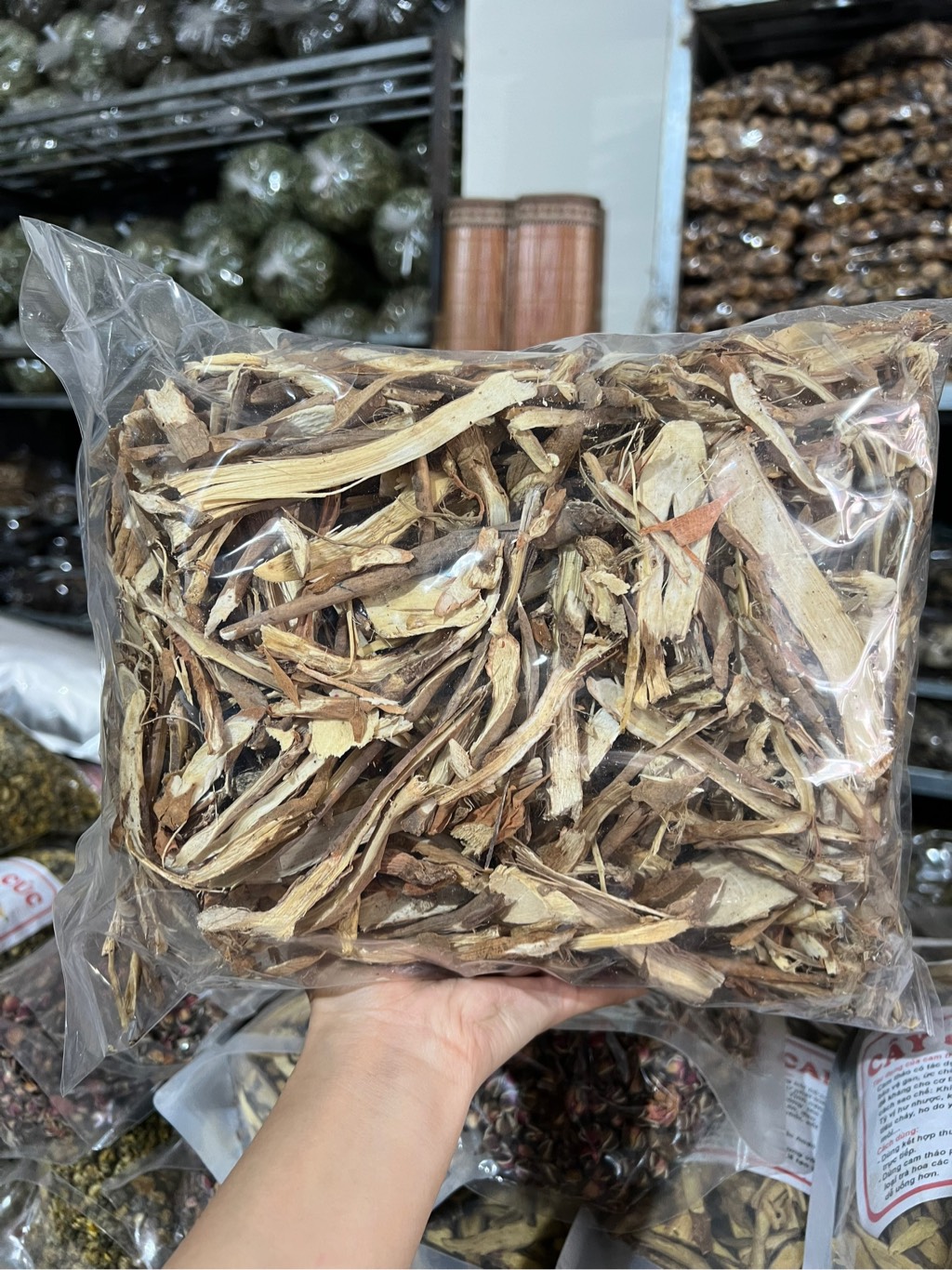 sâm cau 1