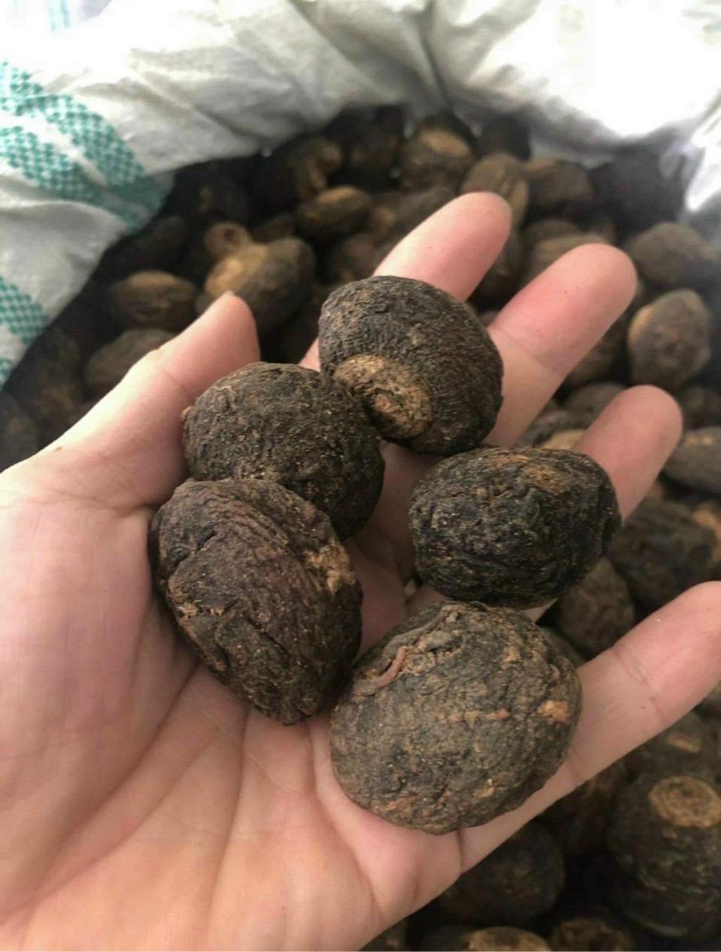 sâm maca peru 2