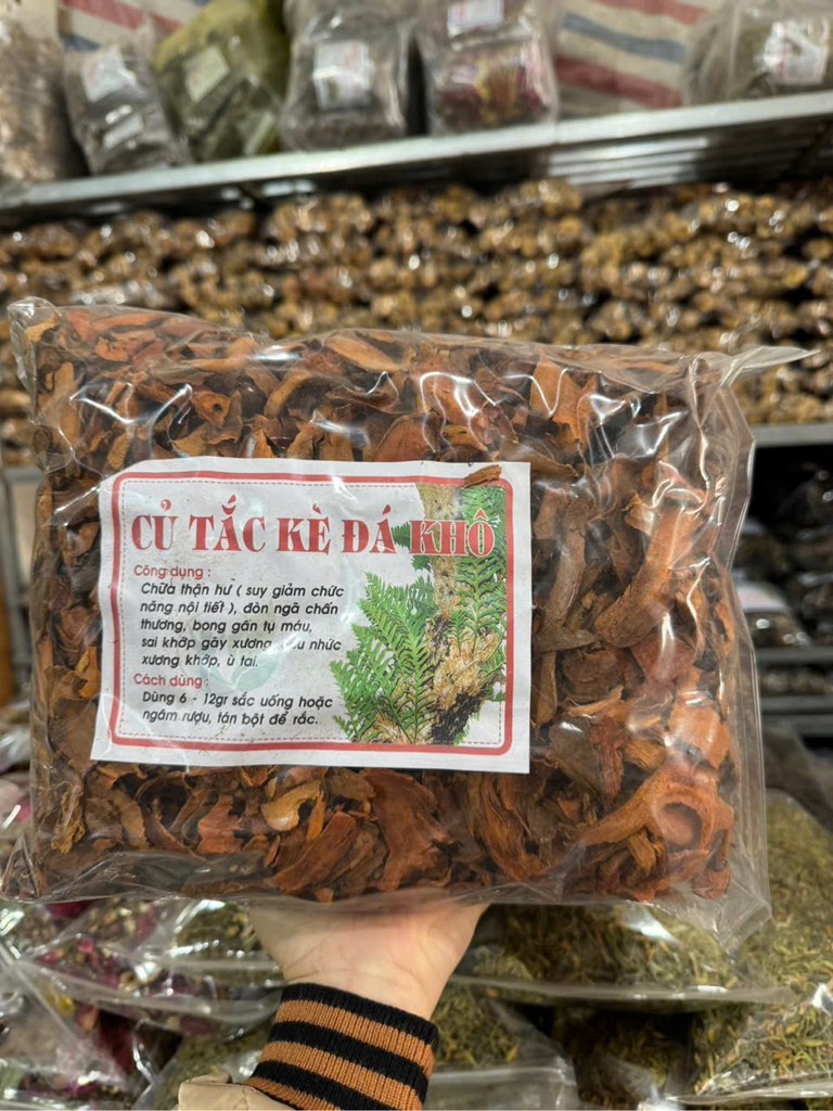 tắc kè đá 2