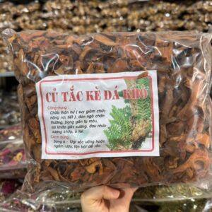 Cốt Toái Bổ - Tắc Kè Đá