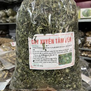 Công Dụng Của Xuyên Tâm Liên Và Cách Dùng